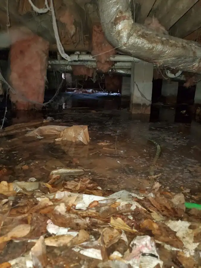 Crawl space flood assessment for Leak Detection & Repair in Crest Hill